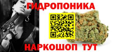 стафф Владикавказ
